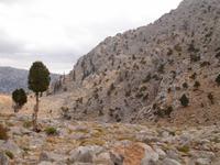 Bademli-Pass auf 1825 Meter Höhe