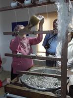 Zuerst ist da die Seidenraupe