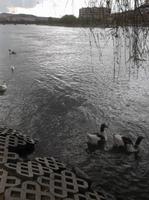 Am Roten Fluß von Avanos