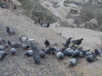 Im wahrsten Sinne des Wortes