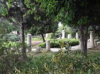 Im Garten rund um den Brunnnen