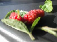 Maulbeeren
