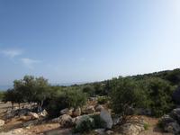 bei den Korykischen Grotten