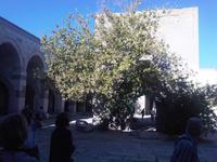 Innenhof von Sultanhani