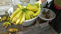 Bananenpause