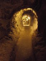 Im Tunnelsystem