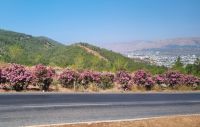 Küstenstraße zwischen Mersin und Antalya...