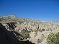 Kameltal