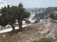 Taurusgebirge