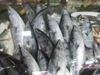 Zahlreiche Lokale locken hier mit frischen Fisch