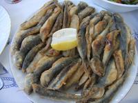 Man serviert uns gegrillten Fisch