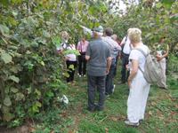 Besuch einer Haselnussplantage