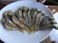 Zum Mittagessen gab es Stöcker-Fisch