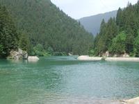 In Nationalpark des Uzungöl-See-Gebietes