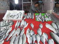 Für uns wird der frische Fisch ausgenmmen...