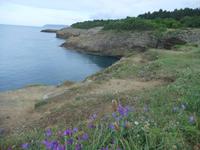 An der Schwarzmeerküste bei Sinop