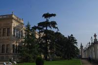 116 - in den Gärten des Dolmabahce-Palastes