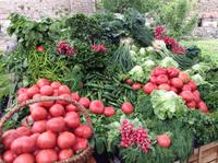 frisches Gemüse an der alten Stadtmauer