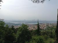 Blick vom Tannenhügel