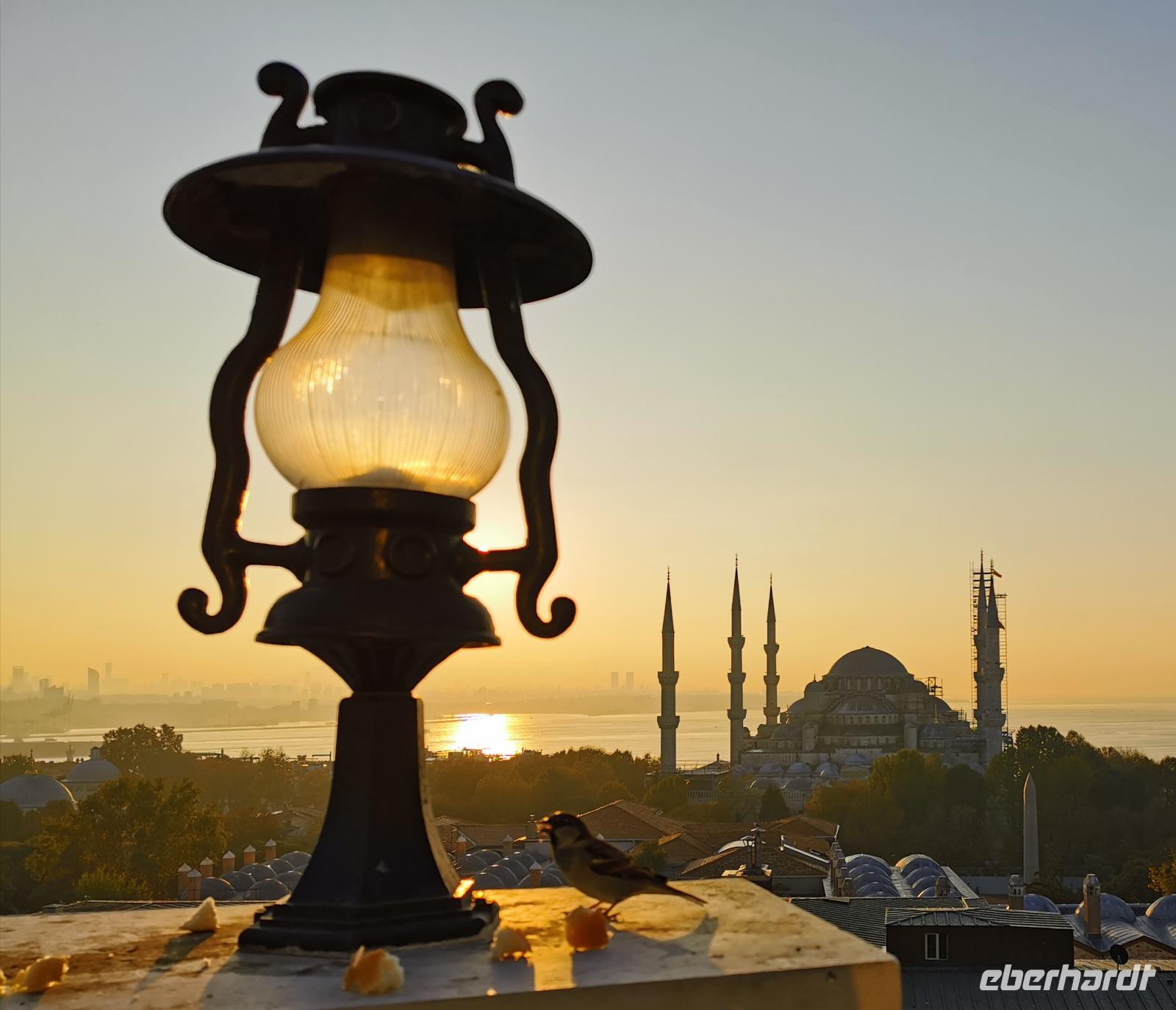 Der Ausblick von unserer Hotelterrasse, dem Spatz gefällt es auch