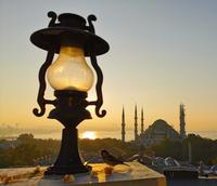 Der Ausblick von unserer Hotelterrasse, dem Spatz gefällt es auch