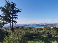 Blick von Camlica, dem Tannenhügel, höchster Punkt der Stadt