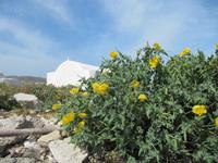 Mykonos-Stadt &ndash; &copy; Helen Krippner (Eberhardt TRAVEL)