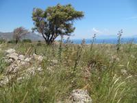 Kos, Festung von Antimáchia &ndash; &copy; Helen Krippner (Eberhardt TRAVEL)