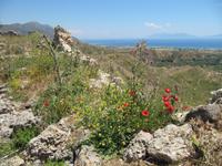 Kos, Festung von Antimáchia &ndash; &copy; Helen Krippner (Eberhardt TRAVEL)