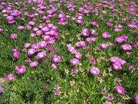 Samos &ndash; &copy; Helen Krippner (Eberhardt TRAVEL)