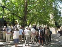 Kos, Platane des Hippokrates &ndash; &copy; Helen Krippner (Eberhardt TRAVEL)