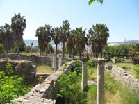 Kos, Agora &ndash; &copy; Helen Krippner (Eberhardt TRAVEL)