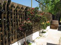 Rhodos, Weinverkostung 