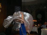 Türkischer Abend mit schönem Bauchtanz