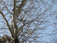 Hier gab es sogar Papageien