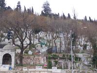 Friedhof beim Wallfahrtsort Eyüp