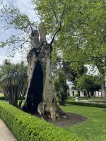 ...im Topkapi-Palast (12)