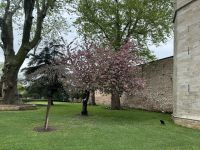 ...im Topkapi-Palast (3)