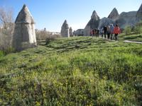 Frühling im Liebstal
