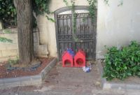 Die Katzenhäuschen - Istanbul, Türkei