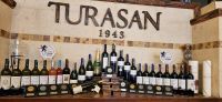 Weinprobe bei Turasan in Ürgüp