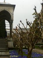 Eingang zur Bibliothek