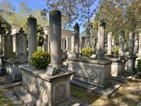 Istanbul - Friedhof 