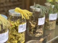 Istanbul - Teppichknüpferei