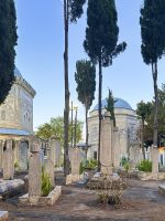 Istanbul - Friedhof 