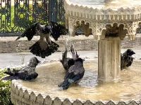 Istanbul - Palastkomplex