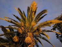 Istanbul. Erste Eindrücke 