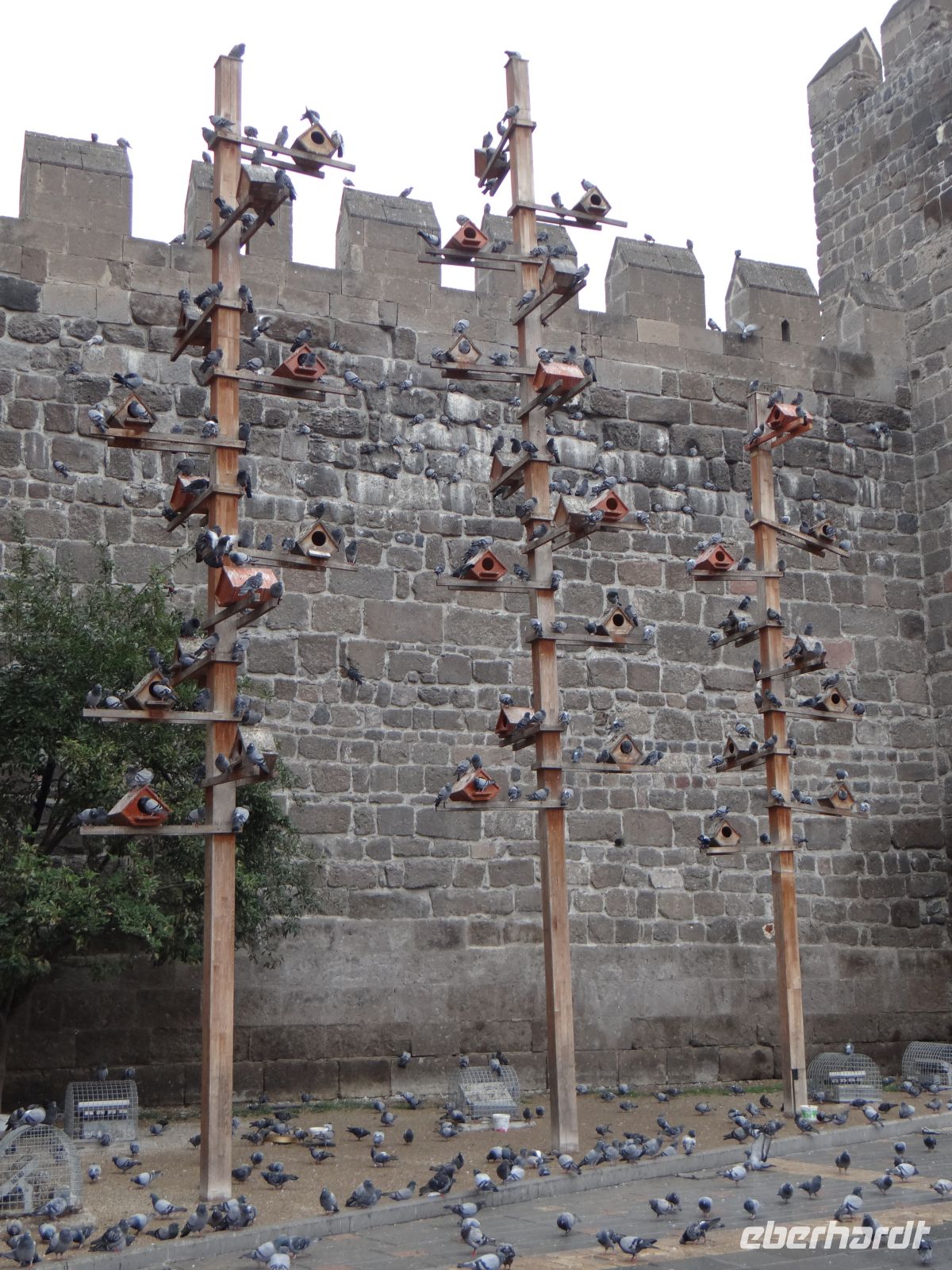 Kappadokien, Kayseri, Landflucht - hier sind die Tauben, die wir im Taubental vermisst haben.