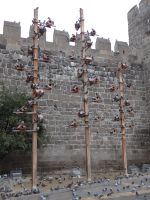 Kappadokien, Kayseri, Landflucht - hier sind die Tauben, die wir im Taubental vermisst haben.