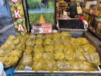 Istanbul. Weinblätter 